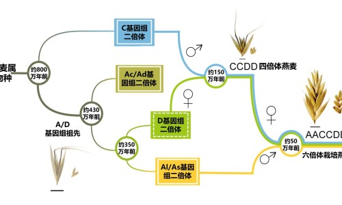 盐酸格拉司琼是化疗药吗-盐酸格拉司琼葡萄糖说明书网 - 网站提供盐酸格拉司琼注射剂多少钱小常识、盐酸格拉司琼是化疗药吗